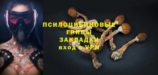 круглые Каменногорск