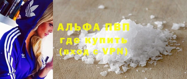 гашик Арсеньев