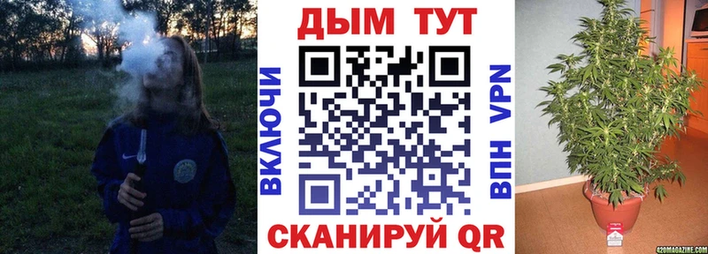 Канабис OG Kush  Поворино 
